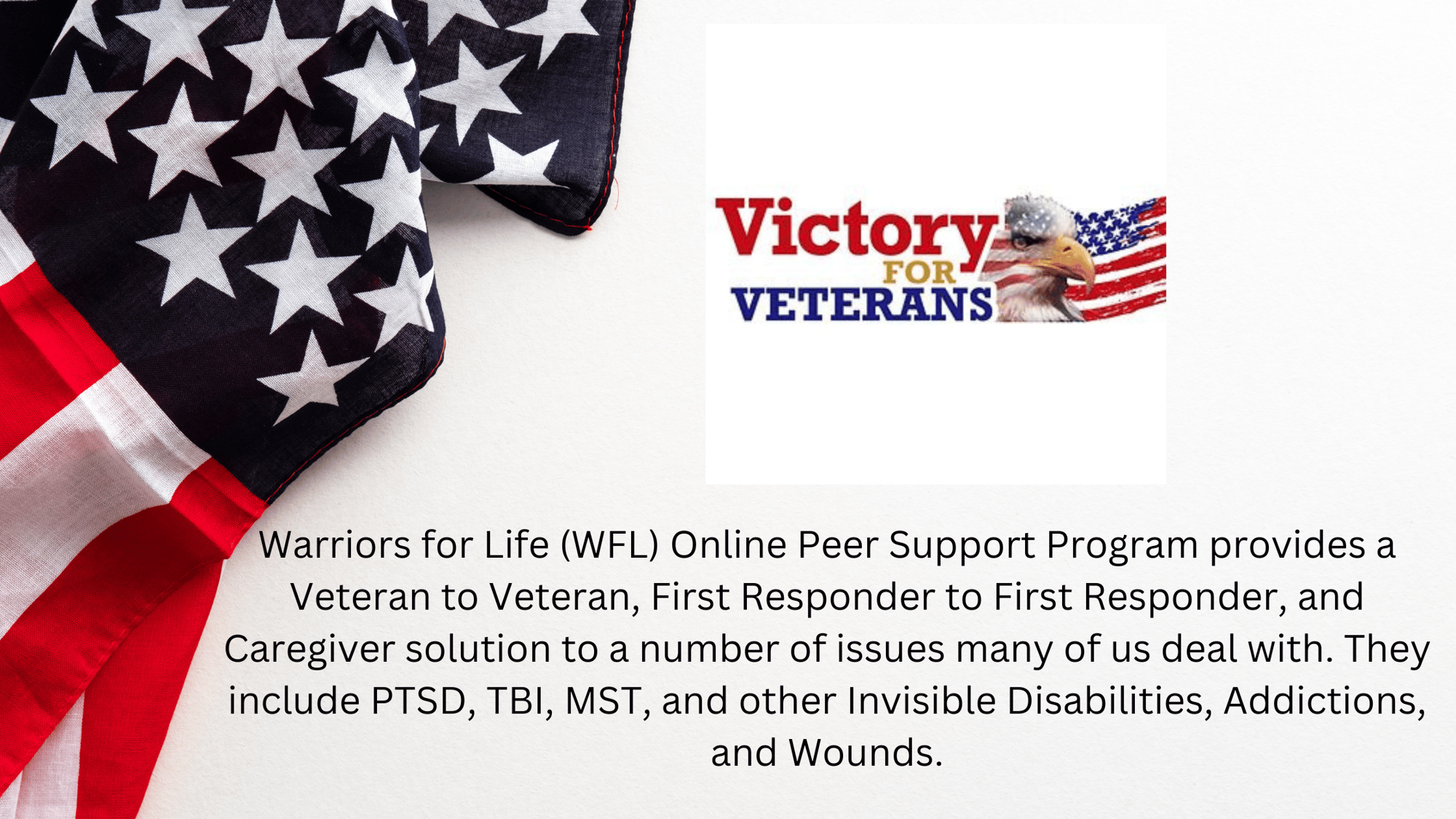 Warriors for Life (WFL) Online Peer Support Program provides a Veteran to Veteran, First Responder to First Responder, and Caregiver solution to a num